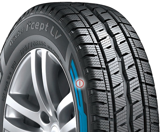 Hankook RW12 - Winter i*cept LV - Odporność