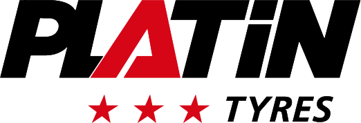 Platin Logo
