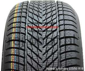 Dunlop Winter 94V XL Zimowe
